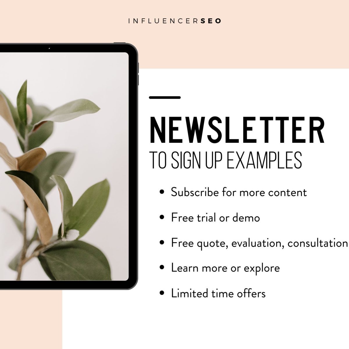 Newsletter Sign Up Examples list